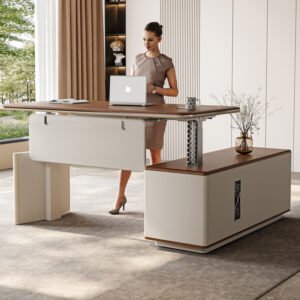 ZHEHAN Electric Height Adjustable Standing Desk