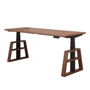 ZHEHAN Electric Height Adjustable Standing Desk Ergonomic Smart Desk